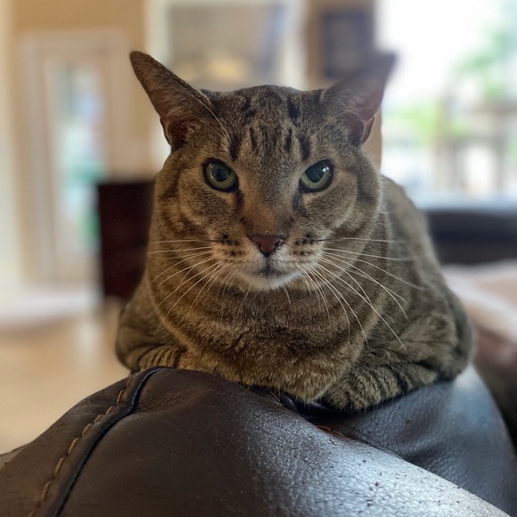 Meet Wendy, a Posh Ambassador! - Picture 9 of 16